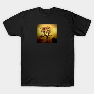 Evening Tree T-Shirt